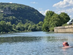 Mainschwimmen Juni 2026